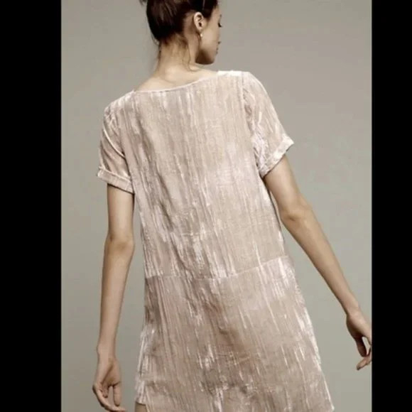 Floreat Crushed Velvet Short Sleeve Shift Dress - Picture 4 of 5